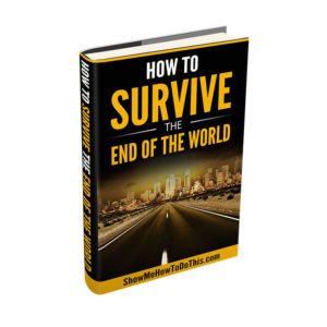 how to survive the end of the world